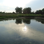 Scioto Audubon Metro Park