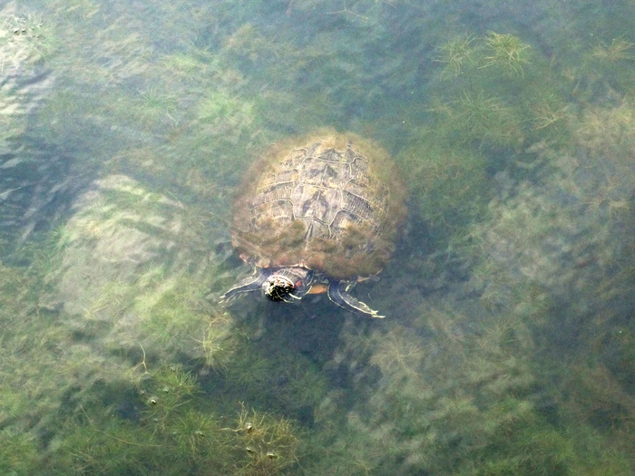 Scioto Audubon Metro Park