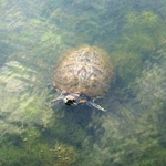 Scioto Audubon Metro Park