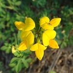 Scioto Audubon Metro Park