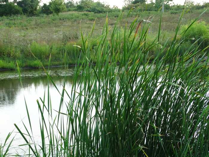 Scioto Audubon Metro Park