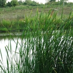 Scioto Audubon Metro Park