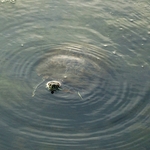 Scioto Audubon Metro Park