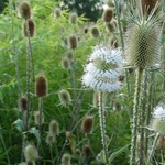 Scioto Audubon Metro Park