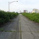 Scioto Audubon Metro Park