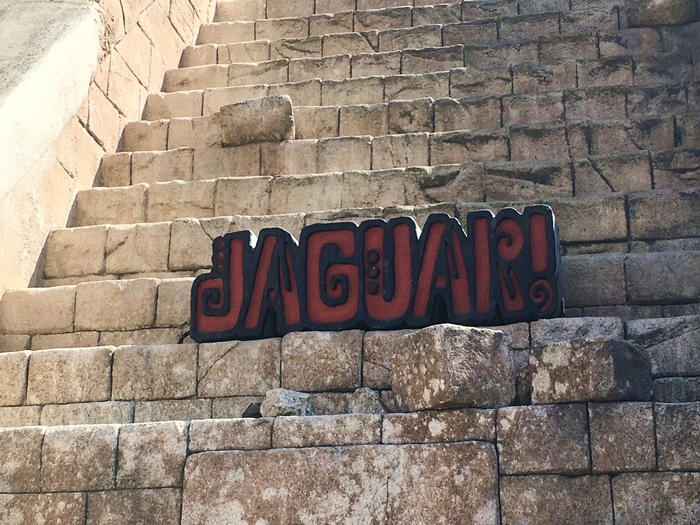 Jaguar!