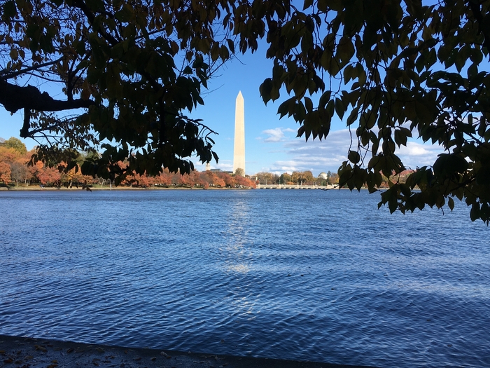 Washington Monument