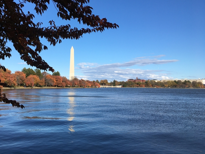 Washington Monument