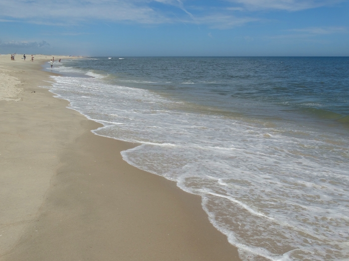 Assateague Island