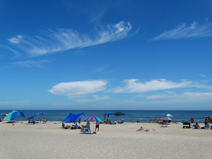 Assateague Island