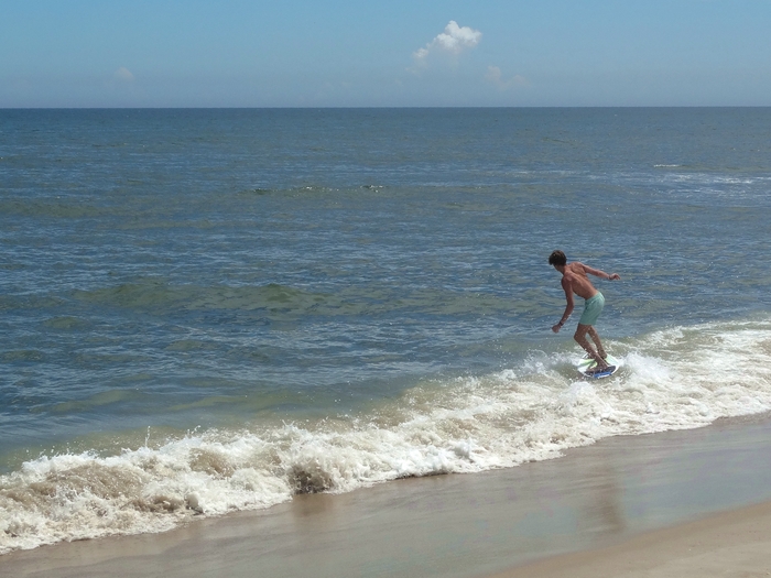 Assateague Island