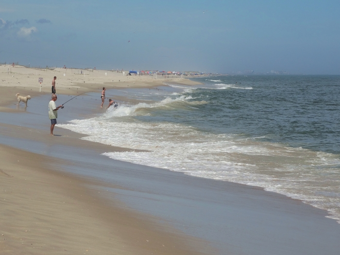 Assateague Island