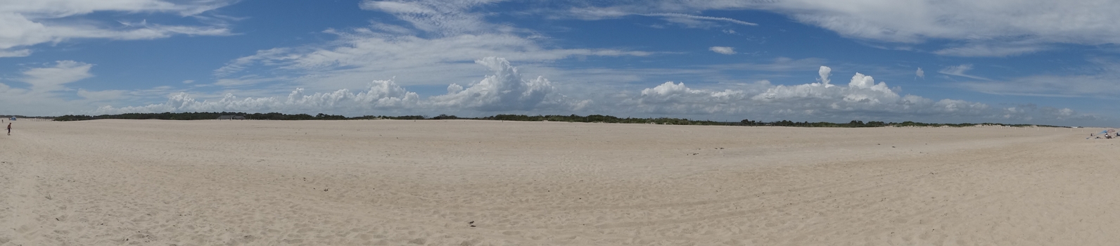 Assateague Island