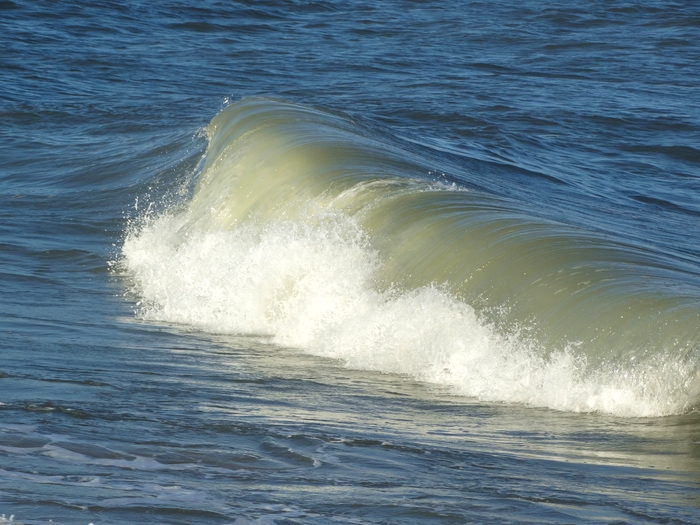 Ocean City