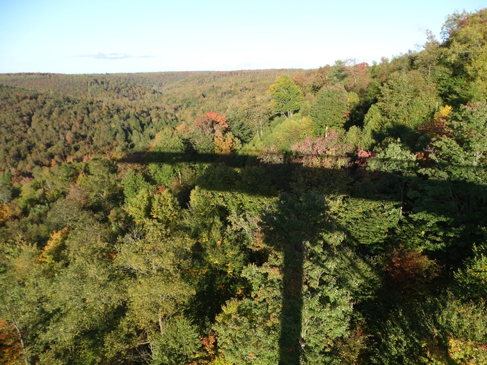 Kinzua Bridge