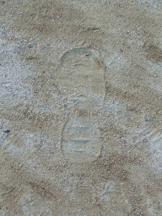 My Footprint