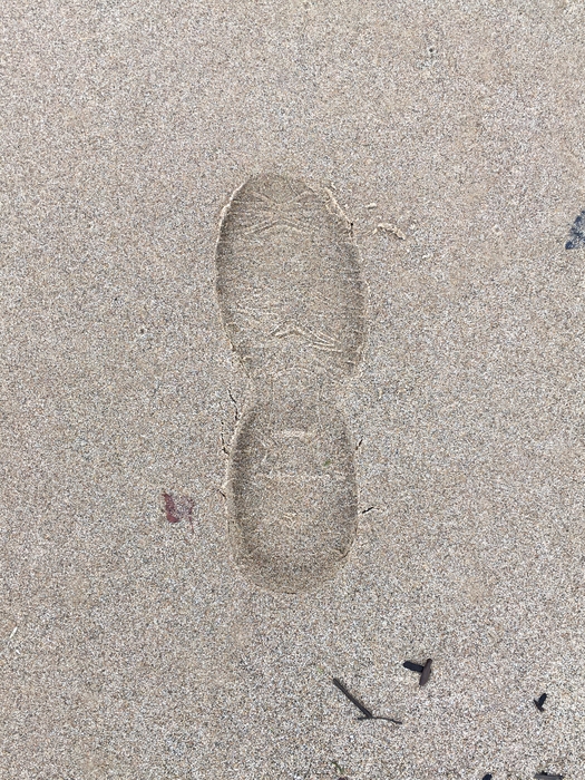 My Footprint