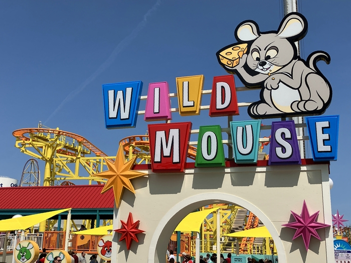 Wild Mouse