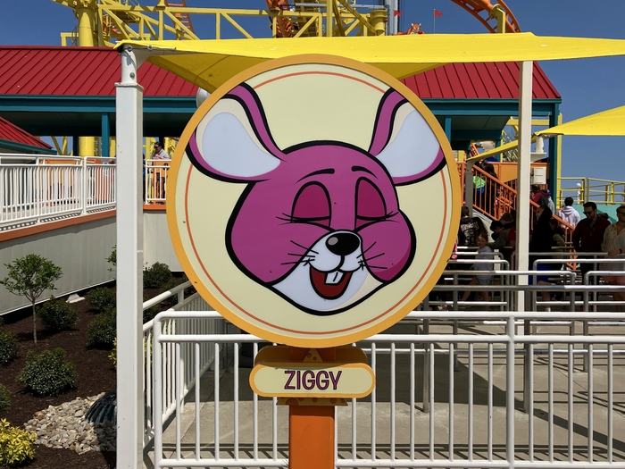 Wild Mouse