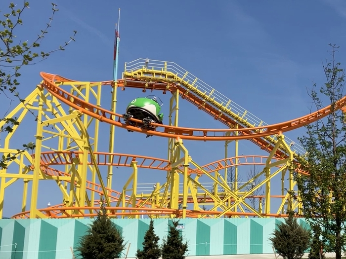 Wild Mouse