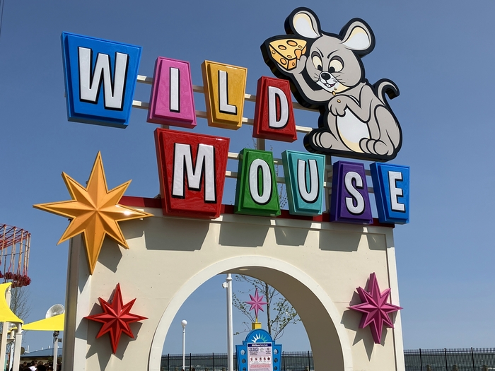 Wild Mouse