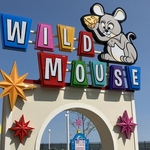 Wild Mouse