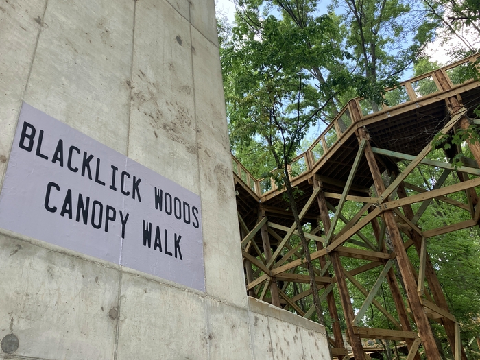 Blacklick Woods Canopy Walk