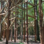 Blacklick Woods Canopy Walk