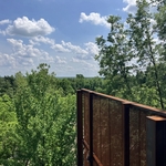 Blacklick Woods Canopy Walk