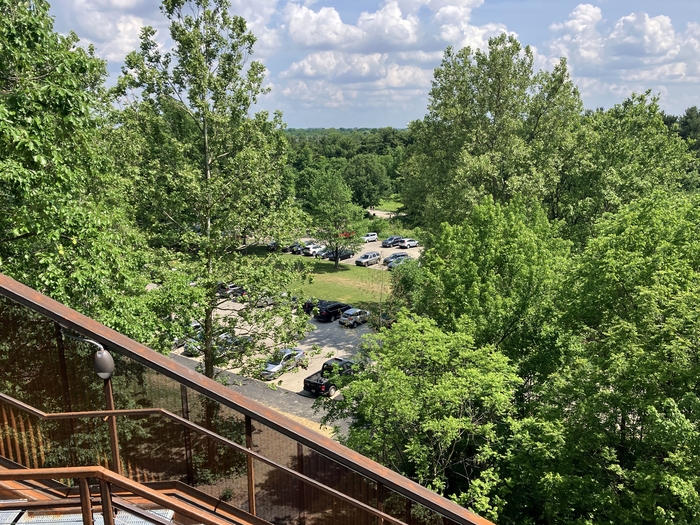 Blacklick Woods Canopy Walk