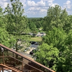 Blacklick Woods Canopy Walk