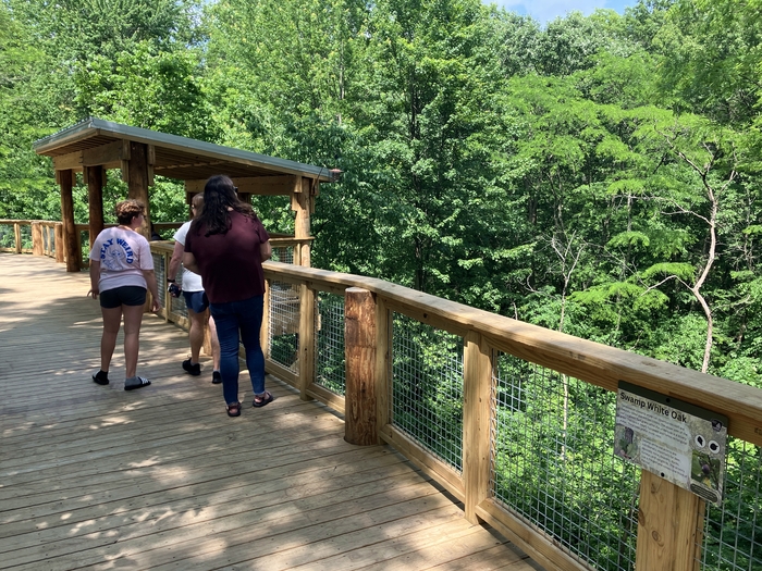 Blacklick Woods Canopy Walk