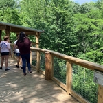 Blacklick Woods Canopy Walk