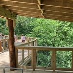 Blacklick Woods Canopy Walk