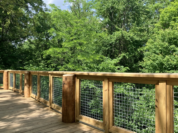 Blacklick Woods Canopy Walk