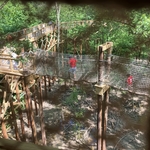 Blacklick Woods Canopy Walk