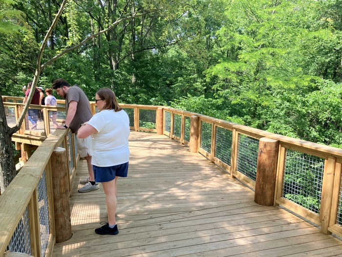 Blacklick Woods Canopy Walk