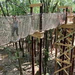 Blacklick Woods Canopy Walk