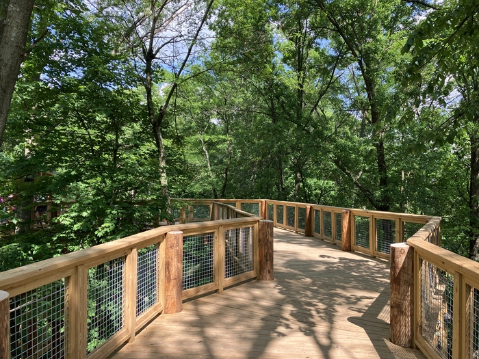 Blacklick Woods Canopy Walk