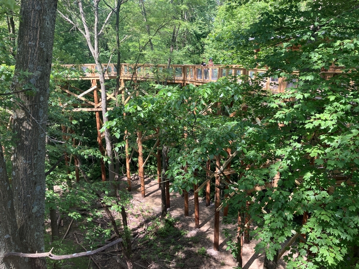 Blacklick Woods Canopy Walk