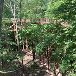 Blacklick Woods Canopy Walk