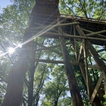 Blacklick Woods Canopy Walk