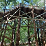 Blacklick Woods Canopy Walk