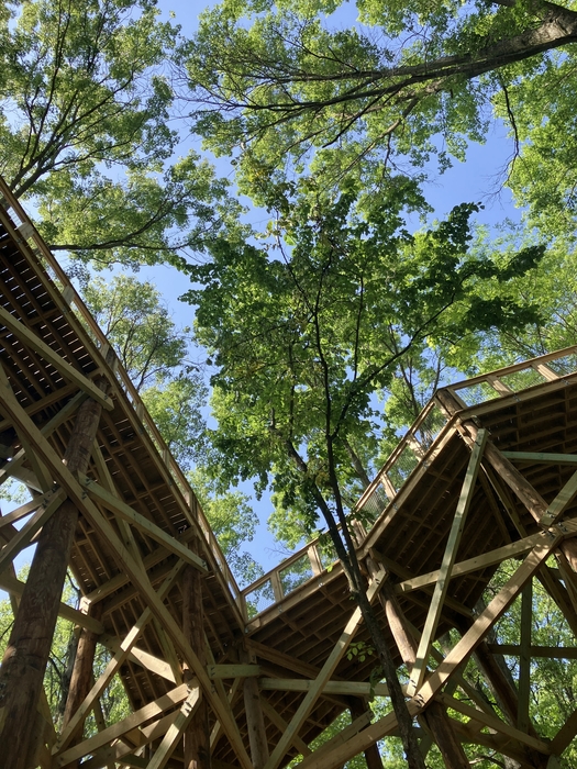 Blacklick Woods Canopy Walk