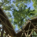 Blacklick Woods Canopy Walk