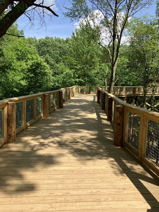 Blacklick Woods Canopy Walk