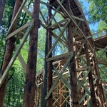 Blacklick Woods Canopy Walk