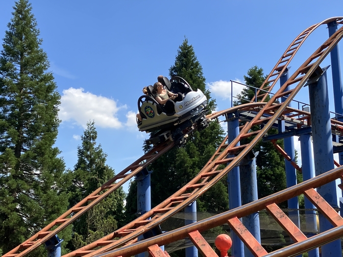 Spinball Whizzer