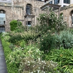 Christ Church Greyfriars Garden