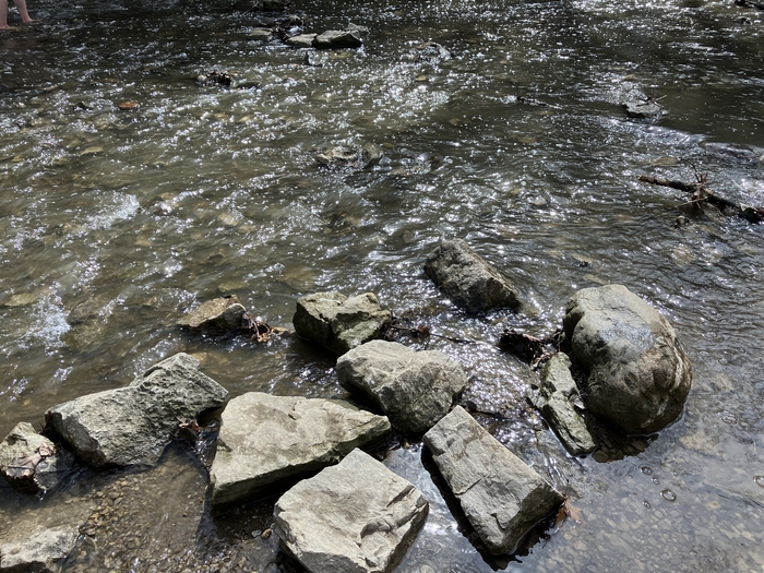 Quarry Trails Metro Park